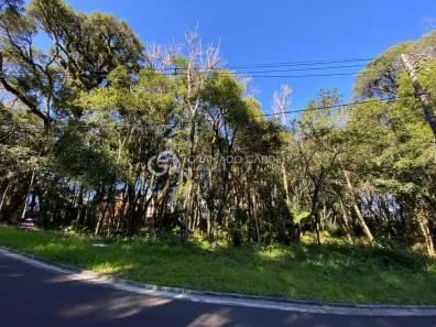 Lote/Terreno à venda, 803m² no Floresta, Gramado