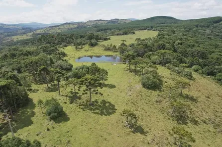 Fazenda/Sítio à venda no , Urupema