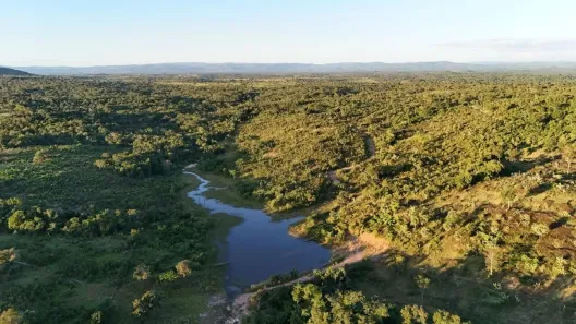 Fazenda/Sítio com 6 Quartos à venda, 400m² no , Goiás
