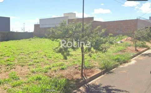 Lote/Terreno à venda, 250m² no Loteamento Portal do Vale II, Uberlândia