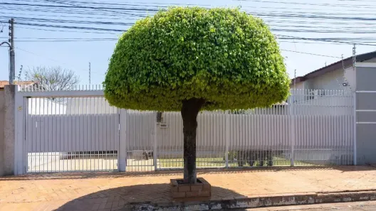 Casa com 3 Quartos à venda, 213m² no Vila Vilas Boas, Campo Grande