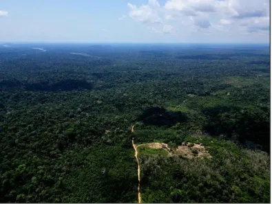 Lote/Terreno à venda, 50000000m² no Centro, Presidente Figueiredo