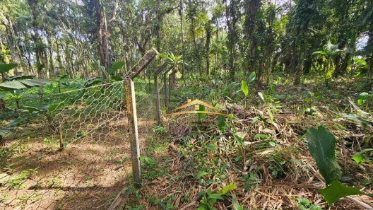 Lote/Terreno à venda, 4991m² no Morretes, Morretes