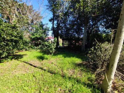 Lote/Terreno à venda, 332m² no Lomba Grande, Novo Hamburgo