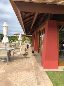 Apartamento com 2 Quartos à venda, 102m² no , Mata de São João