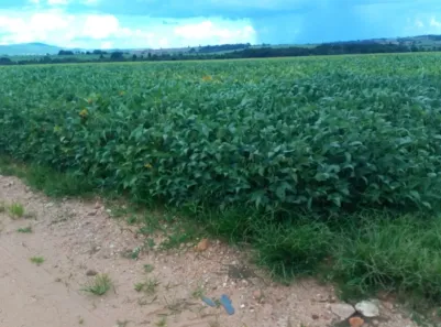 Fazenda/Sítio com 2 Quartos à venda, 37m² no , Itapuranga
