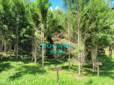 Fazenda/Sítio à venda, 325m² no , Monteiro Lobato