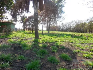 Lote/Terreno à venda, 652m² no Jardim Europa, Mogi Mirim
