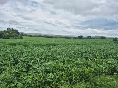 Fazenda/Sítio à venda, 720000m² no Bezerra, Formosa