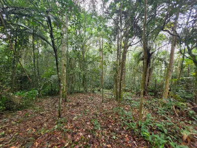 Lote/Terreno à venda, 3658m² no Centro, Juquitiba
