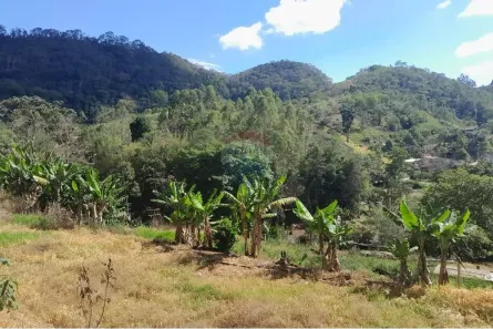 Fazenda/Sítio à venda, 1747m² no Bom Jardim, Bom Jardim