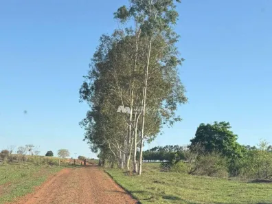 Fazenda/Sítio com 1 Quarto à venda, 459800m² no Zona Rural, São João das Duas Pontes