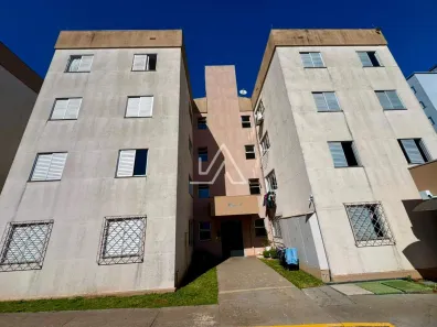 Apartamento com 2 Quartos para alugar, 46m² no Petrópolis, Passo Fundo
