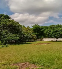 Lote/Terreno à venda, 4400m² no Jandaiguaba, Caucaia