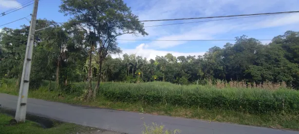 Lote/Terreno à venda, 17000m² no Rio Sagrado, Morretes