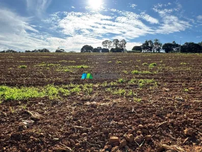 Fazenda/Sítio com 1 Quarto à venda, 86m² no , Nazareno