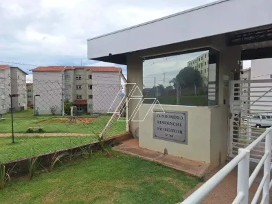 Apartamento com 2 Quartos para alugar, 47m² no Paulo Correa de Lara, Marília
