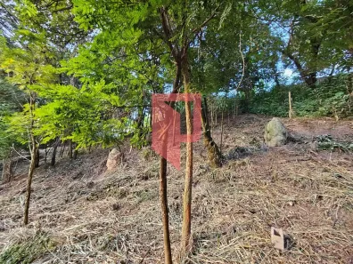 Lote/Terreno à venda, 1000m² no Alto Caiçaras, Belo Horizonte