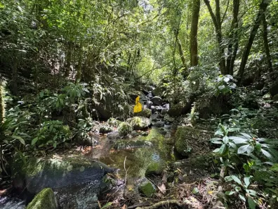 Lote/Terreno à venda, 20000m² no Santa Maria, Benedito Novo