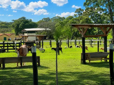 com 3 Quartos à venda, 220m² no Zona Rural, Campos Belos