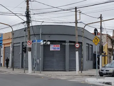 Ponto Comercial para alugar, 233m² no Limão, São Paulo