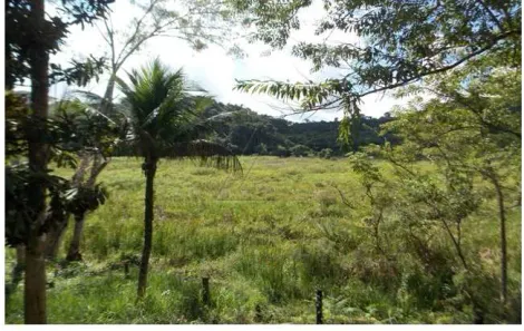 Fazenda/Sítio com 1 Quarto à venda, 146250m² no , Juquiá