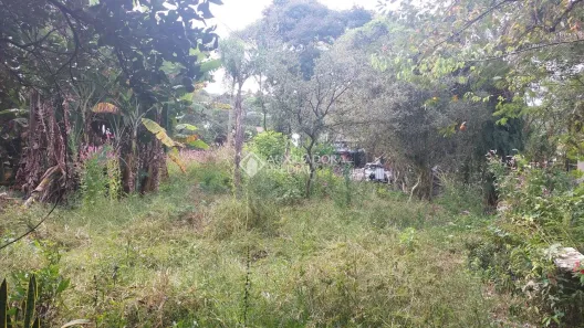 Lote/Terreno à venda, 6700m² no Belém Velho, Porto Alegre