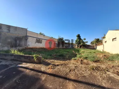 Lote/Terreno para alugar, 450m² no Vila São José, São José do Rio Preto
