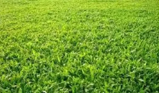 Lote/Terreno à venda, 1294m² no Bonfim Paulista, Ribeirão Preto