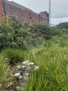Lote/Terreno para alugar, 139m² no Vila Progredior, São Paulo