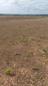 Fazenda/Sítio à venda, 7000000m² no Lagoa Azul, Macapá