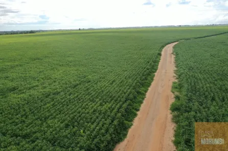 Fazenda/Sítio com 1 Quarto à venda, 1200m² no , Ivinhema