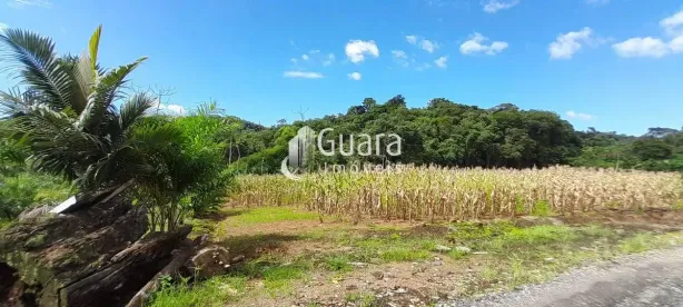 Fazenda/Sítio com 1 Quarto à venda, 125000m² no Amizade, Guaramirim