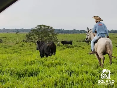 Fazenda/Sítio com 3 Quartos à venda, 4646m² no Centro, Tomé-Açu