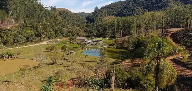Fazenda/Sítio com 8 Quartos à venda, 571m² no , Angelina
