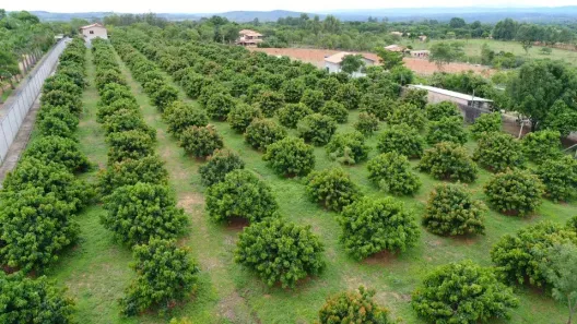 Fazenda/Sítio com 3 Quartos à venda, 130m² no Funilândia, Funilândia