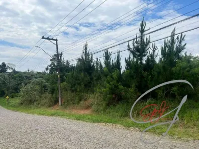 Lote/Terreno à venda, 4973m² no Paisagem Renoir, Cotia