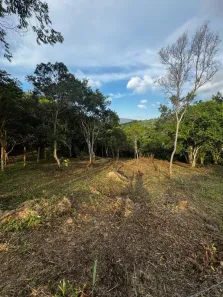 Lote/Terreno à venda, 1680m² no Ratones, Florianópolis