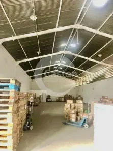 Galpão/Depósito/Armazém com 1 Quarto à venda, 1250m² no Vila Maria Baixa, São Paulo