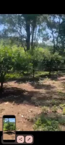 Fazenda/Sítio com 3 Quartos à venda, 30000m² no Centro, Sete Lagoas