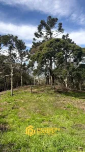 Lote/Terreno à venda, 20000m² no Urubici, Urubici