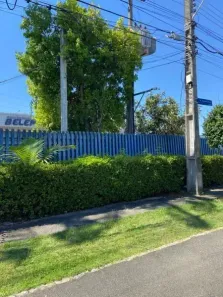 Galpão/Depósito/Armazém para alugar, 853m² no Prado Velho, Curitiba