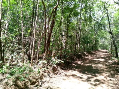 Fazenda/Sítio à venda, 20000m² no , Abadiânia