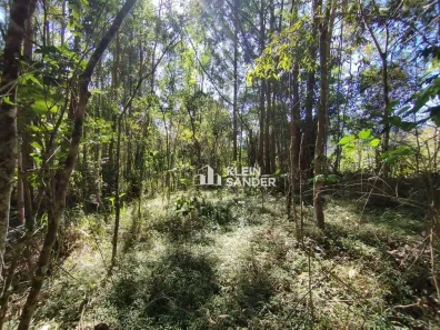 Lote/Terreno à venda, 3218m² no Cônego, Nova Friburgo