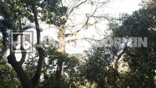 Apartamento com 3 Quartos à venda, 167m² no Alto da Boa Vista, Rio de Janeiro