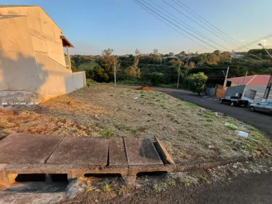 Lote/Terreno à venda, 290m² no Brasília, Londrina