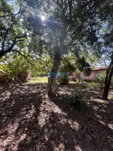 Lote/Terreno à venda, 1585m² no Granja Regina, Rio Claro