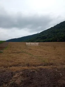 com 2 Quartos à venda, 106000m² no , Tamarana