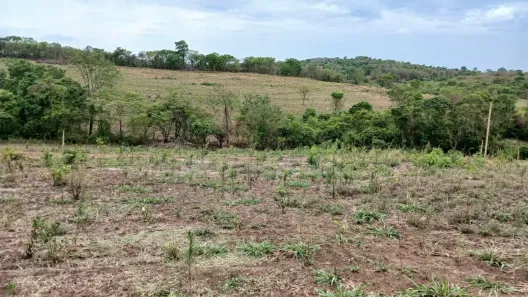 Fazenda/Sítio à venda, 2200m² no , Professor Jamil