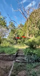 Lote/Terreno à venda, 1525m² no Teresópolis, Porto Alegre